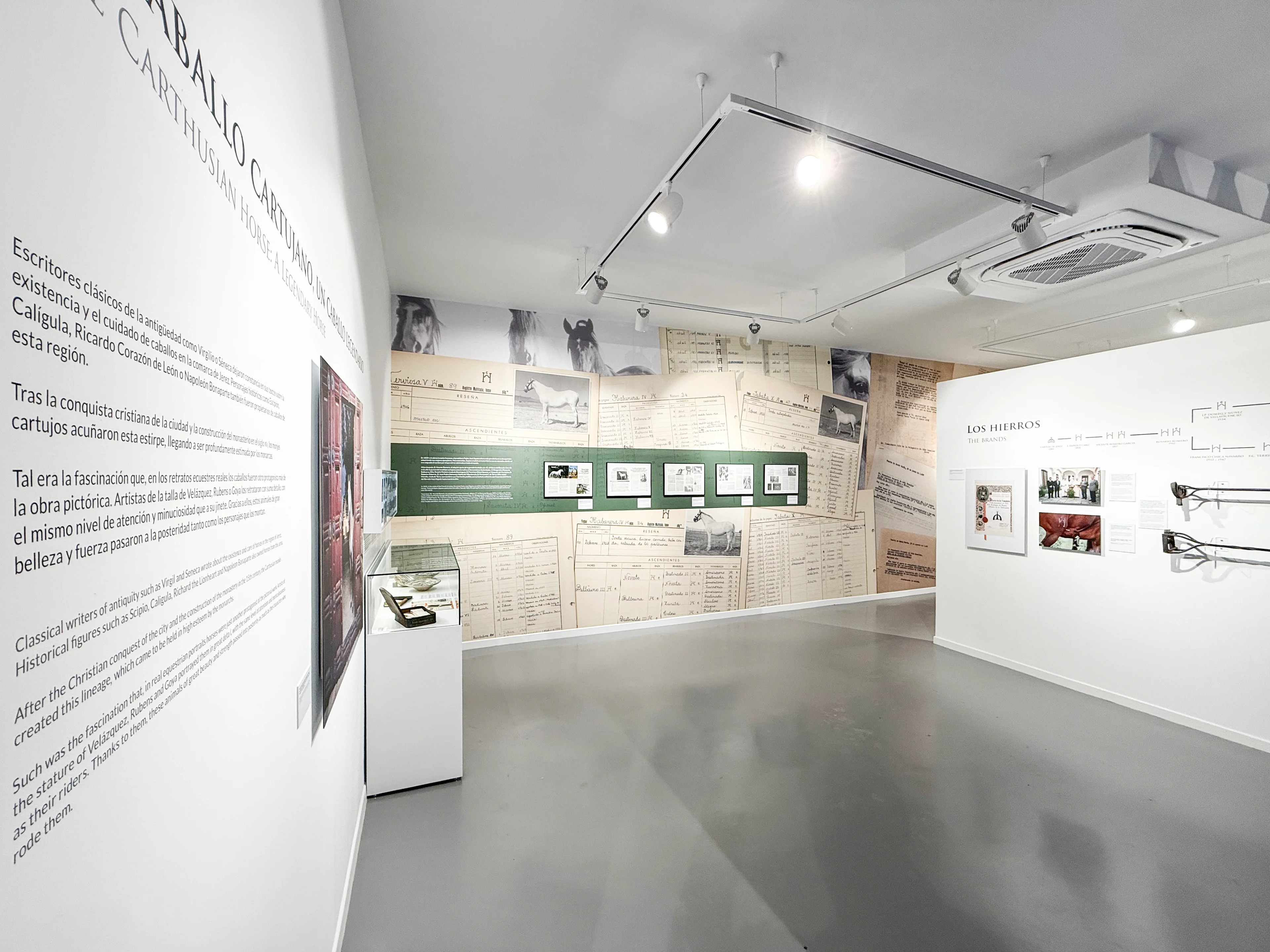 Gráfica documental y recorrido expositivo de la Yeguada de la Cartuja